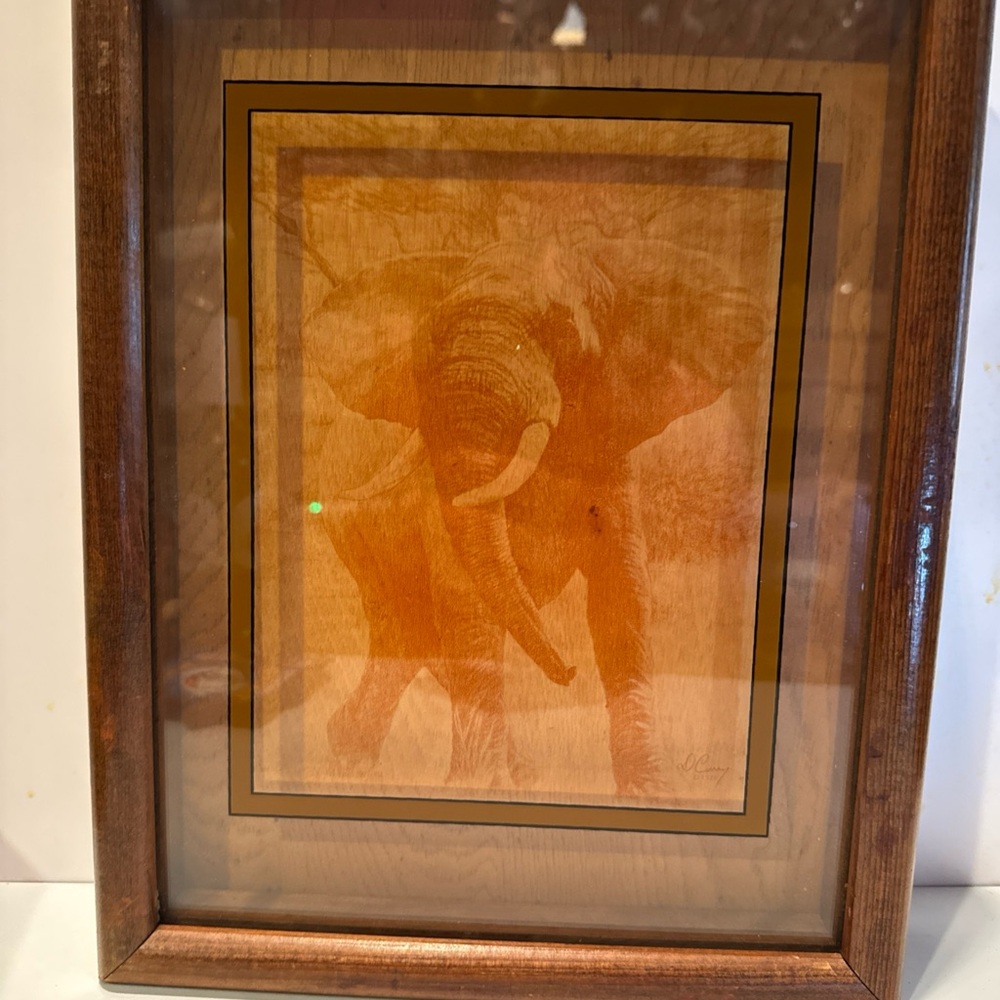 Elephant Illustration in Wooden Frame